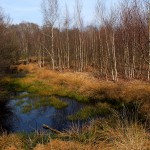 DSCF0970_n