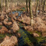 DSCF0995_n