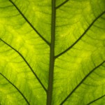 DSCF1058
