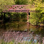 DSCF1333_s