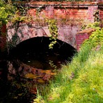 DSCF1343_s