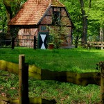 DSCF1347_s